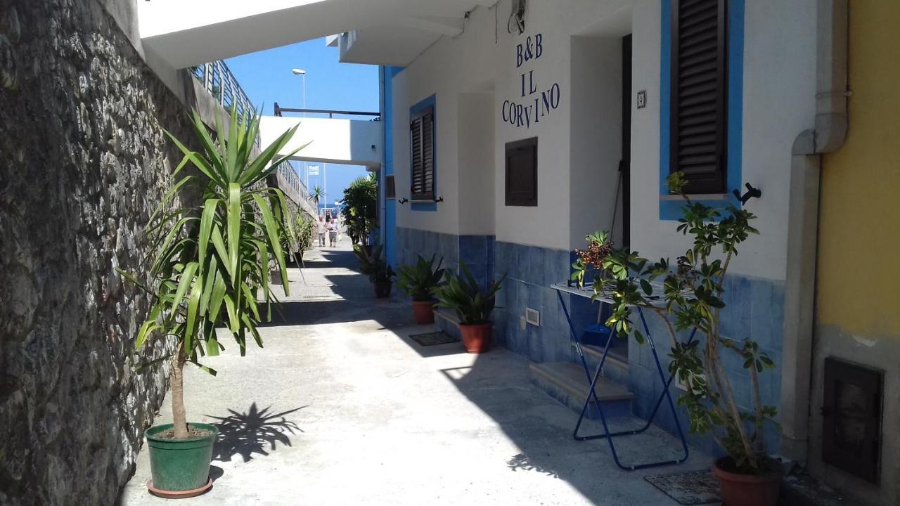 Il Corvino Bed and Breakfast Diamante Exterior foto